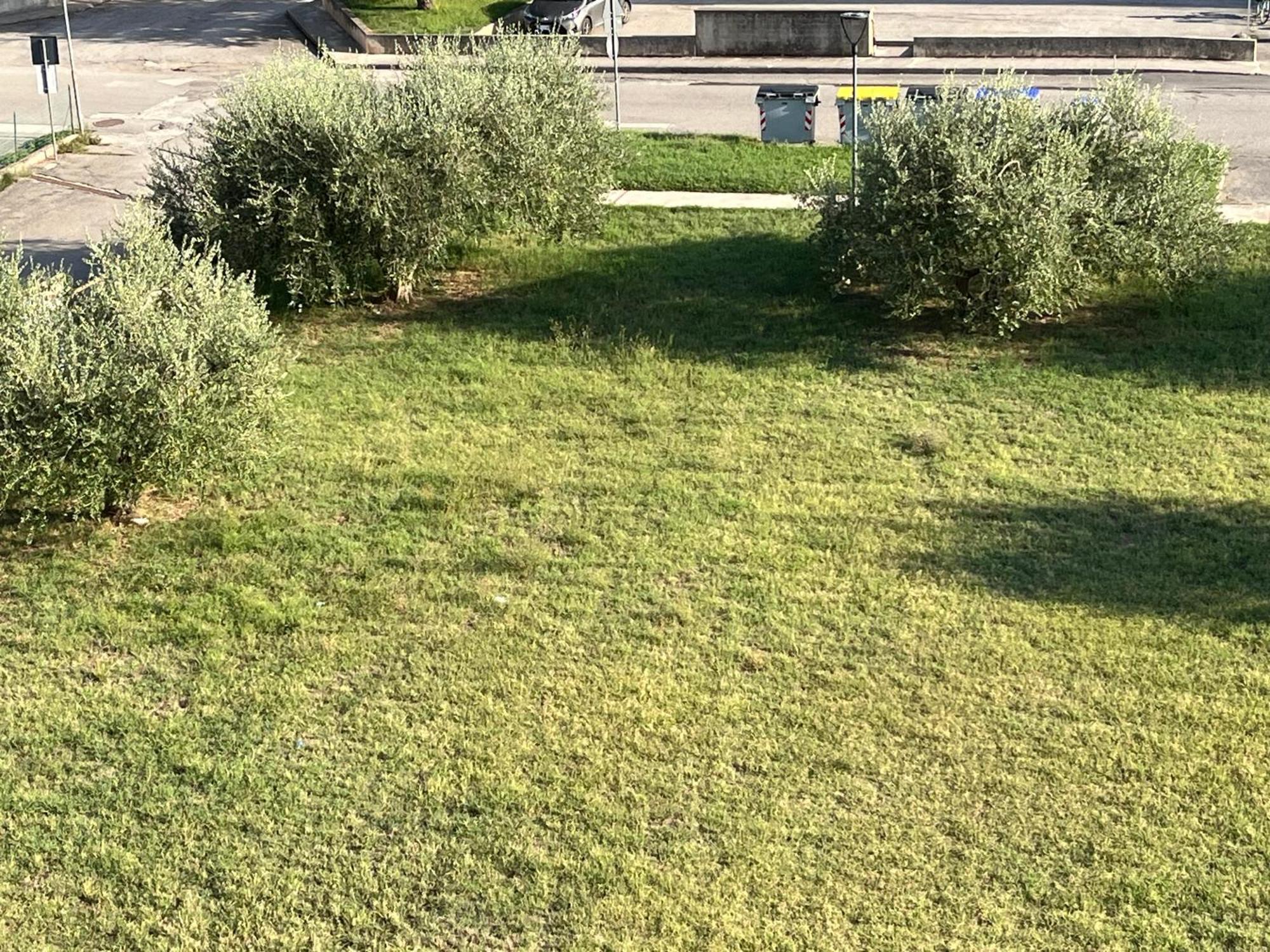 קאסטיגליונה דל לאגו Casa Ivana מראה חיצוני תמונה